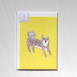 柴犬のレターセットの画像