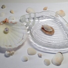 ガラスの小物入れトレー＆貝殻の画像