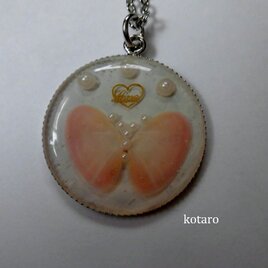 かわいらしい桜貝のペンダント【円型】