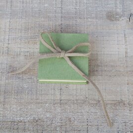 小さな旅アルバム　アップルグリーン