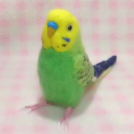 リアルサイズ♪ セキセイインコ 牧場色グリーンオパ－リン 羊毛フェルト ☆選べる鼻の色　受注作成　羊毛インコ　ライフサイズ