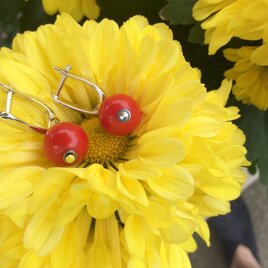 赤サンゴ ピアス