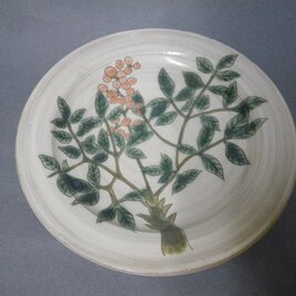 葉紋様　皿の画像