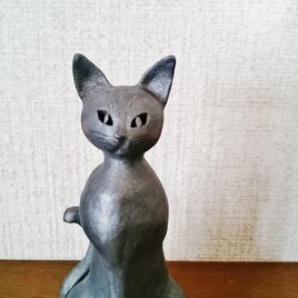 猫　まっすぐなまなざし　