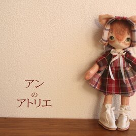 小さなアビちゃん☆ハンドメイドのお人形の画像