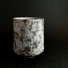 梅華皮飛彩蕾カップ