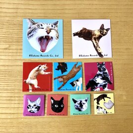 ネコシール9枚セットB