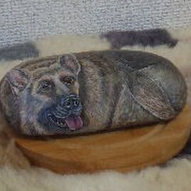 犬（シェパード）