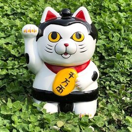 ご利益、ヨコズナ級!? 猫綱 貯金箱の画像