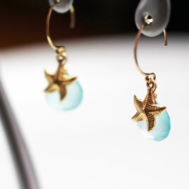 送料無料 14kgf hook earrings 天然石 ピアス (ヒトデ カルセドニー)の画像