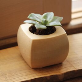 多肉植物プランター＆キャンドルベース