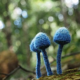 ソライロタケのマグネット