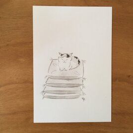 絵葉書／ポストカード　＜座布団＞