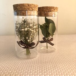 カスミ草ドライとユーカリドライ瓶