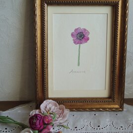 ボタニカルイラストフレーム　アネモネ　アンティークカラー