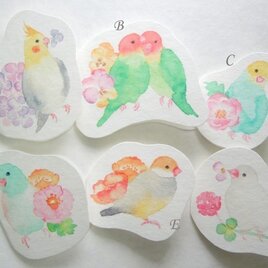 小鳥のメッセージカード