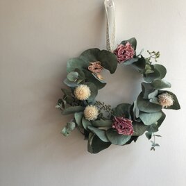 ドライミニリース