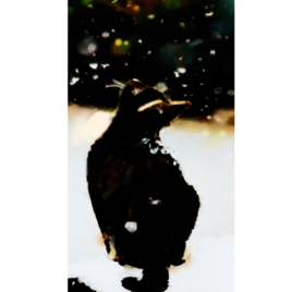 雪  アートポスター