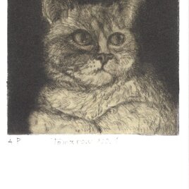 猫のポストカードの画像