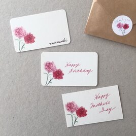 カーネーションのメッセージカード サンキューカード 20枚