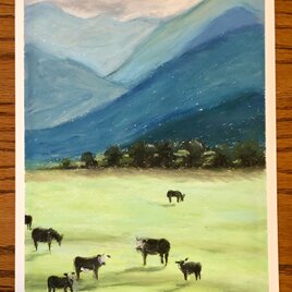 草原の牛の画像