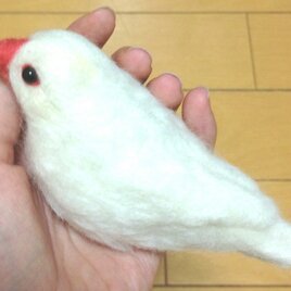 (売約済)羊毛フェルト握り文鳥 白文鳥の画像