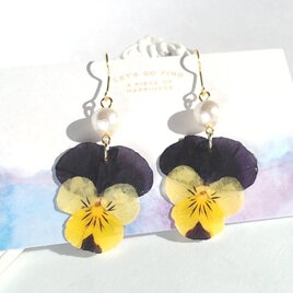 パンジーの押し花ピアス