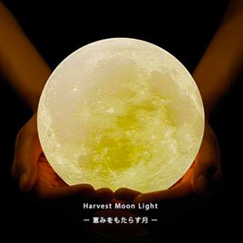 Harvest Moon Light - 恵みをもたらす月 -｜月ライト(大)【”秘密特典”付き♪】の画像
