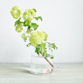 お花長持ち＊雨雲とかたつむりの画像