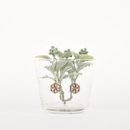 シトラスのピアスmint　クルミの木のウッドアクセサリー