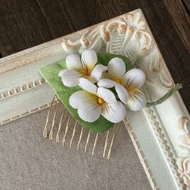 染め花のすみれのミニコーム(オフホワイト)
