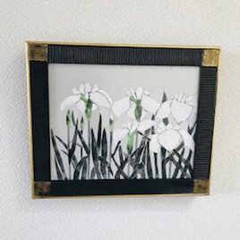 シックなあやめ