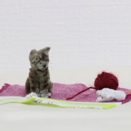 ミニチュア・キャット（キジ猫）