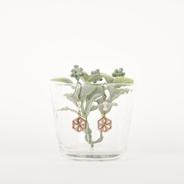 シトラスのピアスfrost　クルミの木のウッドアクセサリー
