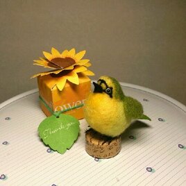 羊毛フェルトde野鳥 メグロ