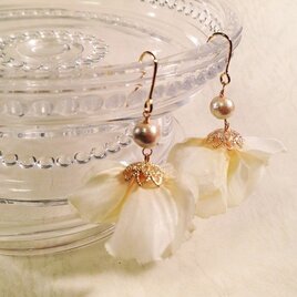 ゆらりんホワイト