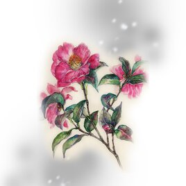 高級和紙印刷04  寒中山茶花の画像