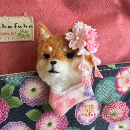 つまみ細工×羊毛ブローチ　柴犬と桜の春の画像