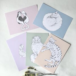 キレイ色　猫のポストカードセット（5枚セット）の画像
