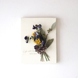 植物キャンバスS “スイトピーとミモザのミニスワッグ”【bdfa200019】ドライフラワー