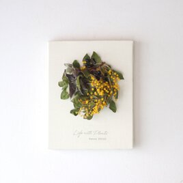 植物キャンバスS “真珠葉ミモザのリース”【bdfa200022】ドライフラワーの画像