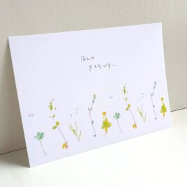 ほんの気持ちです　ポストカード3枚セット　水彩画「野花」　ナチュラル　アート　naturako　の画像