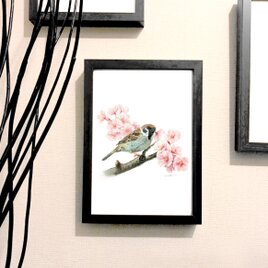 オリジナル 手描き 水彩  雀と桜 アートポスター　A4サイズの画像