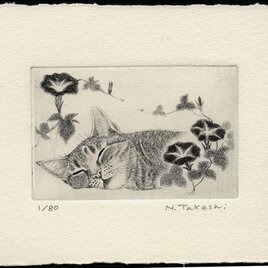 朝顔とお昼寝の猫/ 銅版画 (作品のみ）