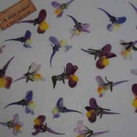 押し花　金魚草　キンギョソウ　 素材　花材　アクセサリー　ハーバリウム　キャンドル　レジン　金魚　夏