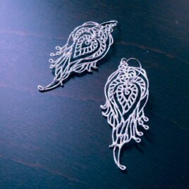 peacock featherの画像