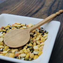 スパイススプーン➂