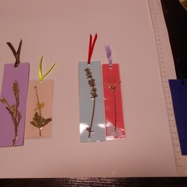 身近な植物のしおり＆しおりを使ったグリーティングカードの画像