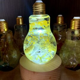 黄色の花たちの電球ハーバリウム　LEDライトセットの画像