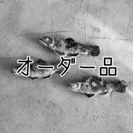 【H様オーダー品】鮎の塩焼きブローチの画像